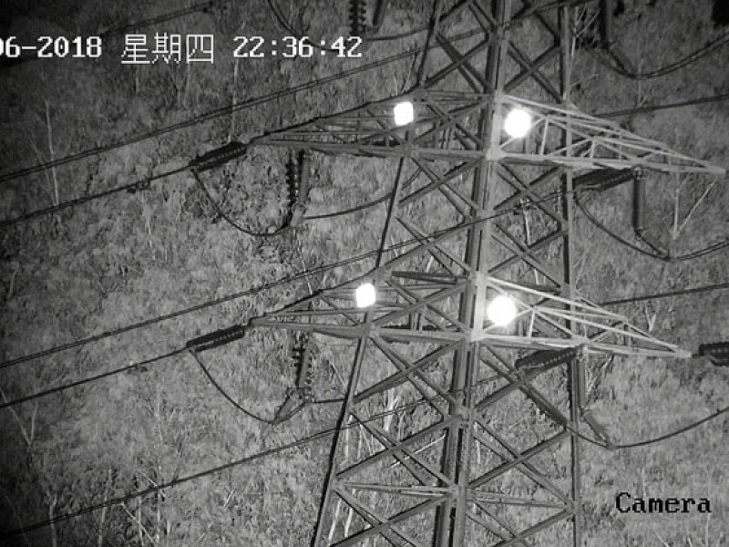 必赢网络游戏平台-(中国游)有限公司