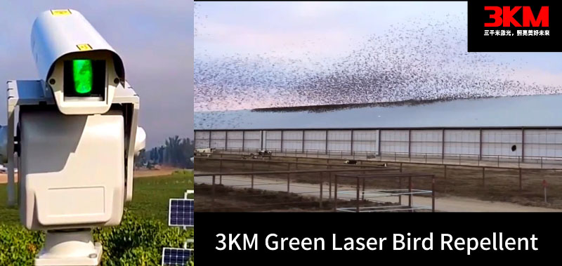 1km All Weather Green Laser Bird Repellent test video 1km All Weather Green Laser Bird Repellent test video